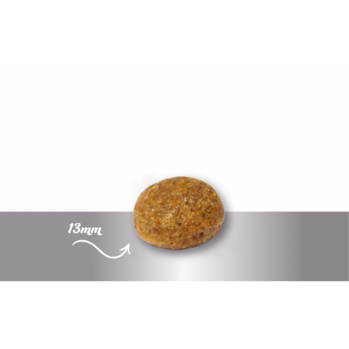 Sausas maistas šuniukams ir jauniems šunims „Prins Fit Selection Puppy & Junior”, 10kg