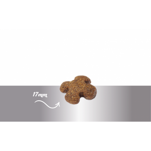 Sausas maistas suaugusiems šunims su lašiša „Prins Fit Selection Salmon & Rice”, 15kg