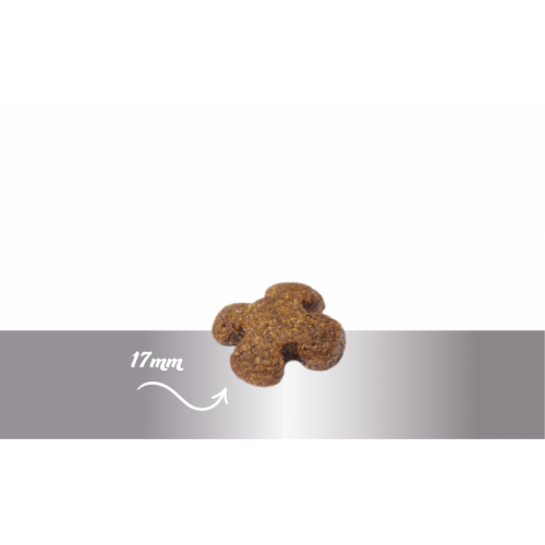 Sausas maistas vyresnio amžiaus šunims „Prins Fit Selection Senior”