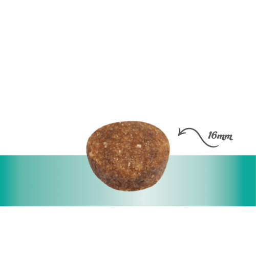 Sausas maistas suaugusiems šunims kepenų funkcijos palaikymui „Prins procare croque liver support”, 10kg