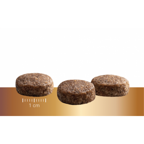 Sausas maistas vyresnio amžiaus šunims „Prins Protection Croque SENIOR Fit”, 10kg