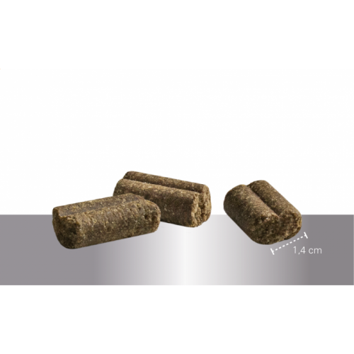 Sausas pašaras aktyviai sportuojantiems šunims „Prins Procare sport – life excelent”, 15kg