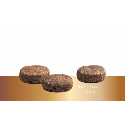 Sausas maistas šuniukams „Prins Protection Croque JUNIOR Performance”, 10kg