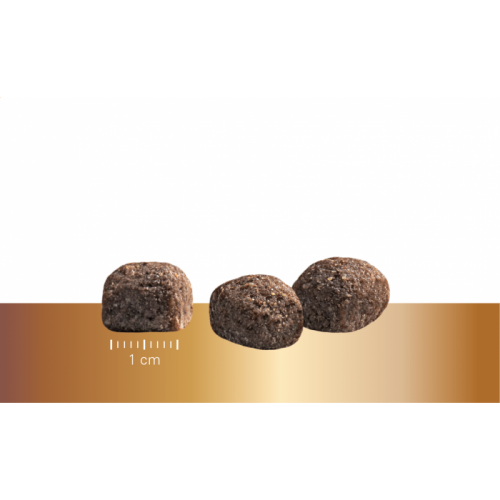 Sausas maistas mažų veislių šunims „Prins Protection Croque Mini BASIC Excellent”, 10kg