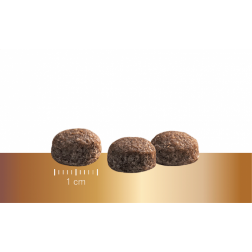 Sausas maistas mažų veislių vyresnio amžiaus šunims „Prins Protection Croque Mini SENIOR Fit”, 10kg