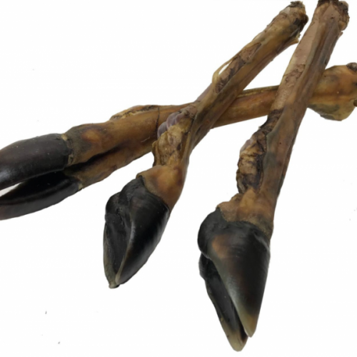 Džiovinta elnio koja šunims, 1 vnt