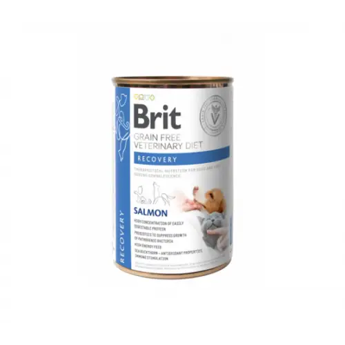 Konservai katėms ir šunims „Brit GF Veterinary Diets Recovery”, 400g