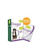 Mervue Diagel dideliems šunims 20gx4