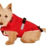 Paltas su kailiu Karlie Flamingo No Limit, juodas, nugaros ilgis 29cm