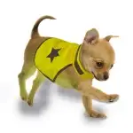 Saugos liemenė šuniui Neon, atsispindinti, S, 40cm