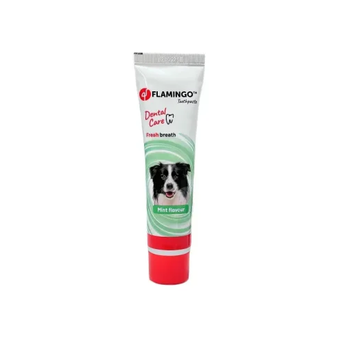 Flamingo Toothpaste Dental Care Fresh Breath, Mint Flavour, mėtų kvapo dantų pasta, 85g